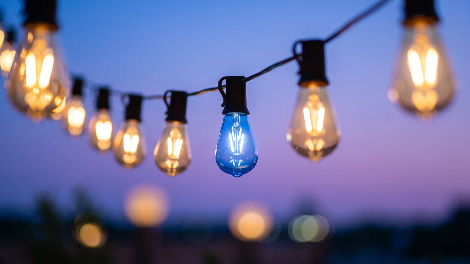 A string of warm glowing bulbs against a blue and violet twilight sky, with one blue bulb shining in the middle.