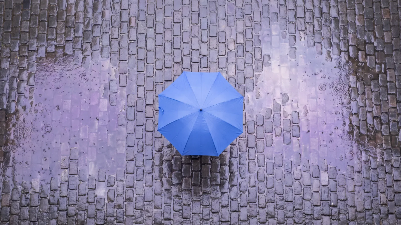 Seen from directly above, a blue umbrella on wet grey cobblestones, with rain rings in violet-tinted puddles.